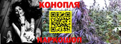 гидропоника Донской