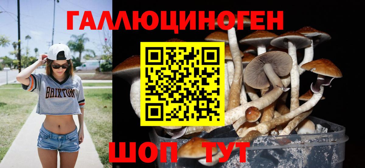 Псилоцибиновые грибы GOLDEN TEACHER Лабинск
